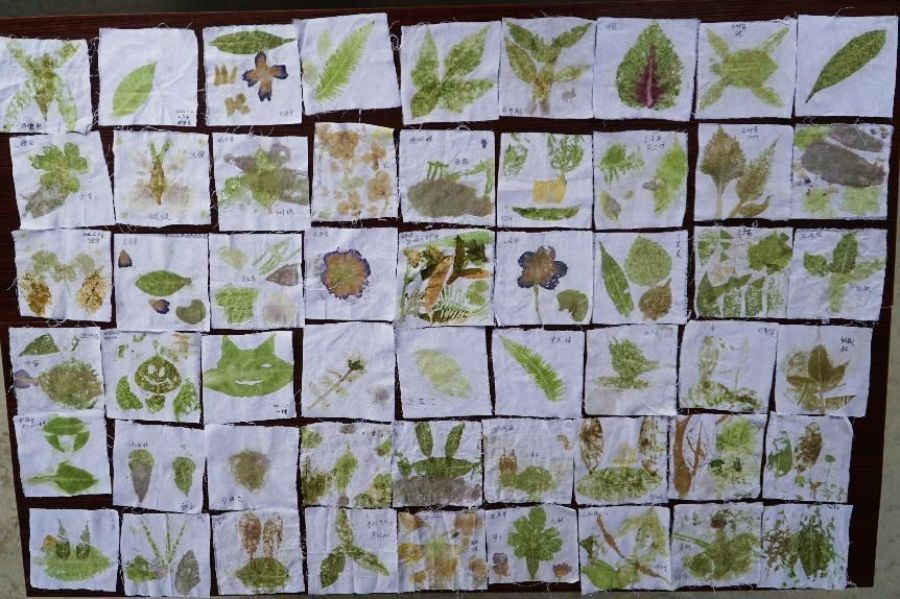 faac41cf91c04406989e117c47881f01.jpg 图片 1(2).jpg